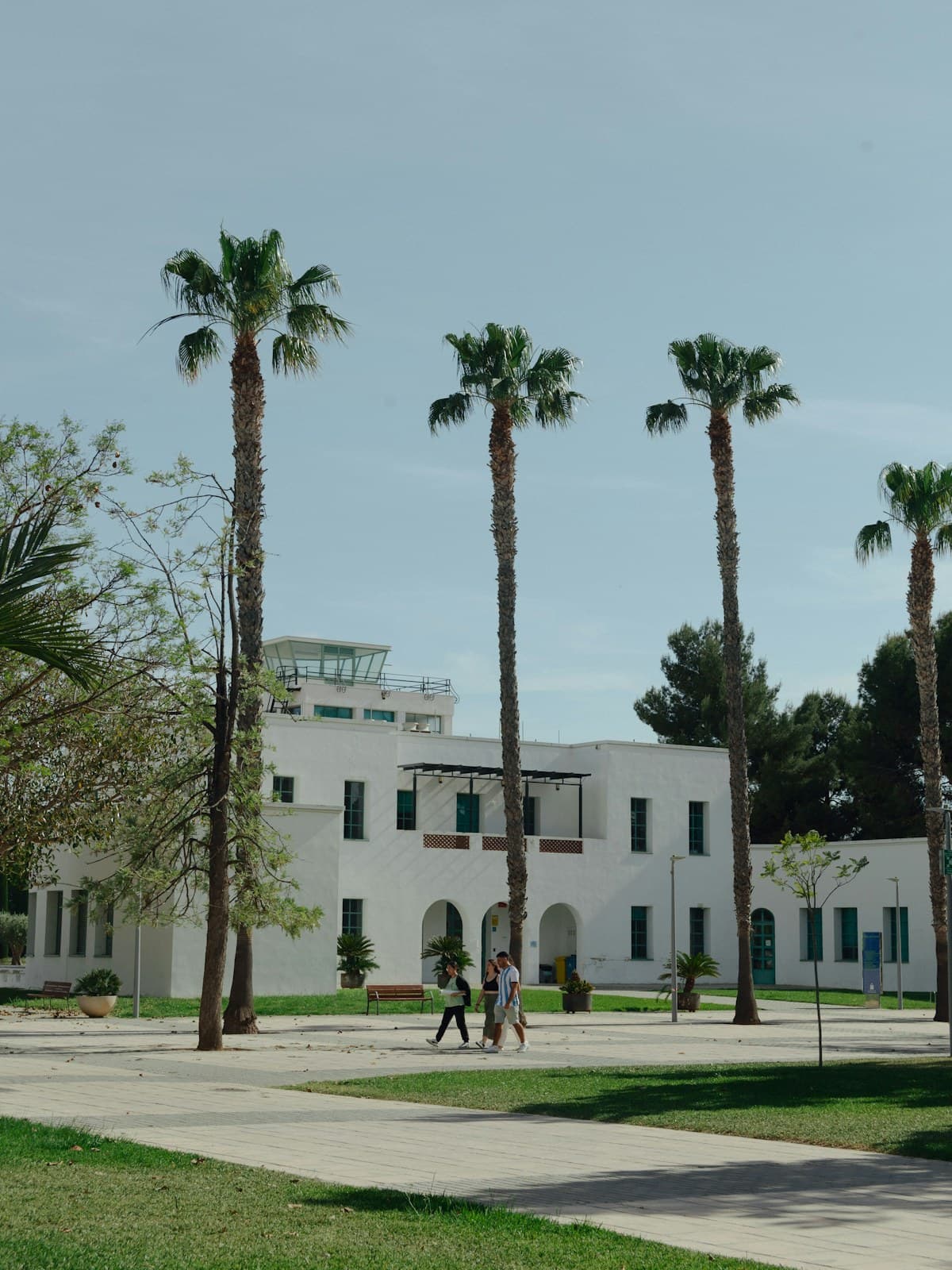 Students studying at a Spanish university